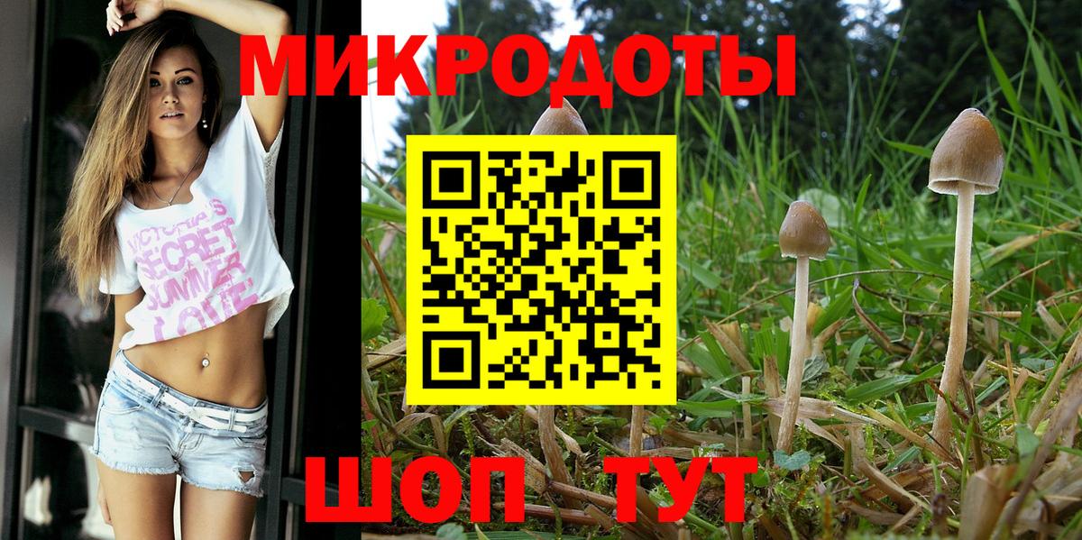 Галлюциногенные грибы прущие грибы Чапаевск